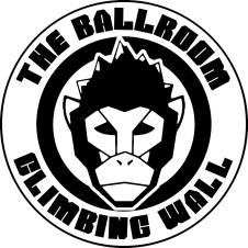 Ballroom Climbing Wall (children only)