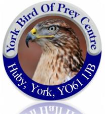 York Bird of Prey Centre